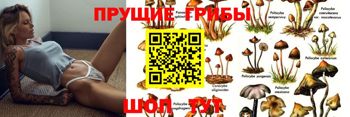 как найти закладки  Галлюциногенные грибы GOLDEN TEACHER  Вход с VPN  Тулун 